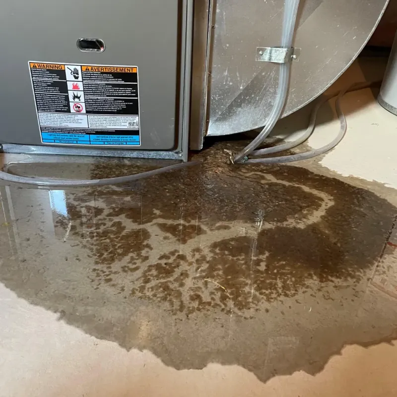 Appliance Leak Cleanup in Dadeville, AL